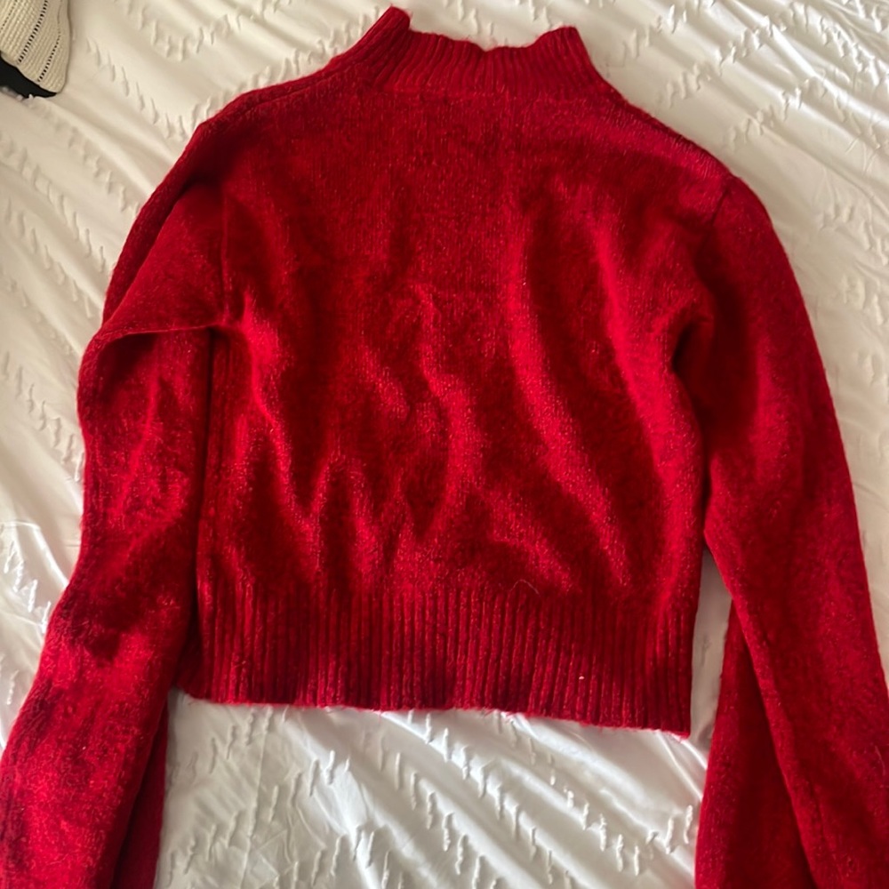Red wild fable sweater